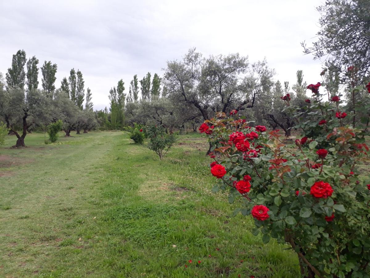 Casa De Campo Las Olivas ซานราฟาเอล ภายนอก รูปภาพ
